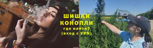 шишки Абаза