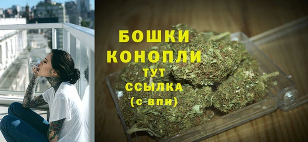 шишки Абаза