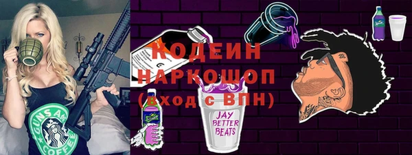 шишки Абаза