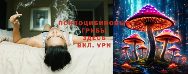 МДПВ Нефтекумск