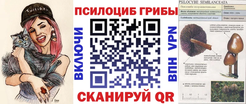Галлюциногенные грибы ЛСД  Нахабино 