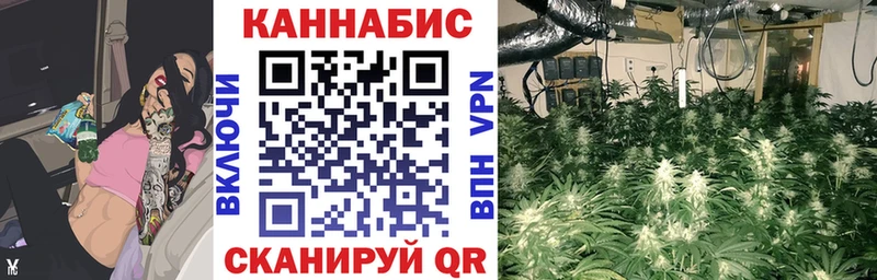 МАРИХУАНА ГИДРОПОН  магазин продажи наркотиков  Нахабино 